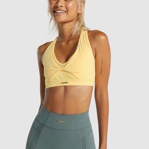 Whitney mesh sports bra